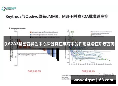 以A2A3基因变异为中心探讨其在疾病中的作用及潜在治疗方向